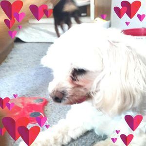 Meet your Posher, Barbara